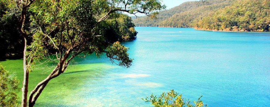 Ku-ring-gai Chase National Park