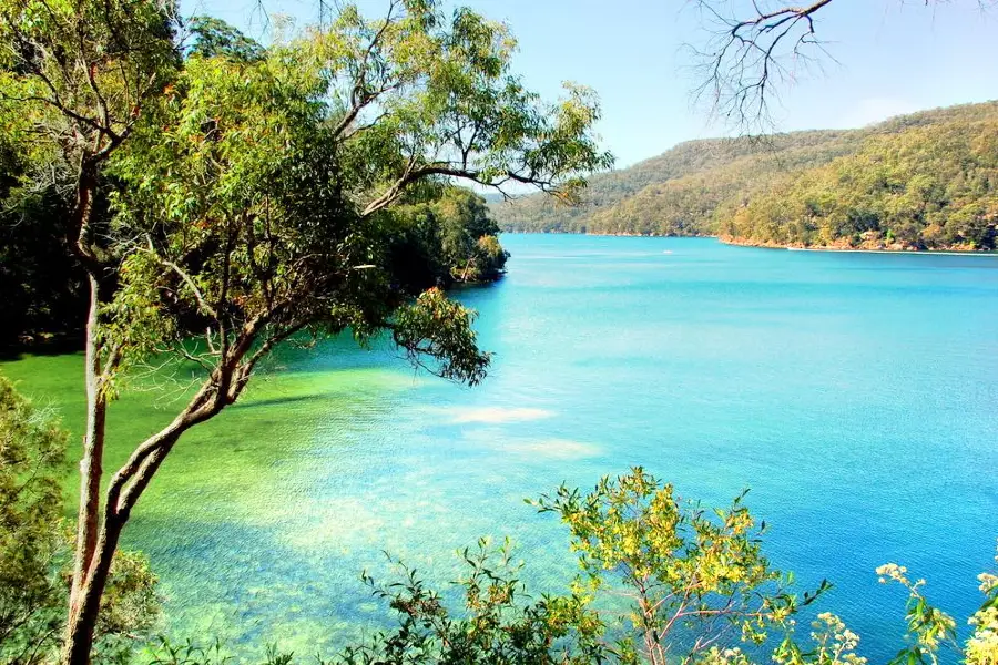 Ku-ring-gai Chase National Park