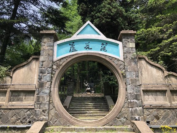 갈대꽃이 흔들리다