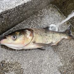 三清家厨 User Photo