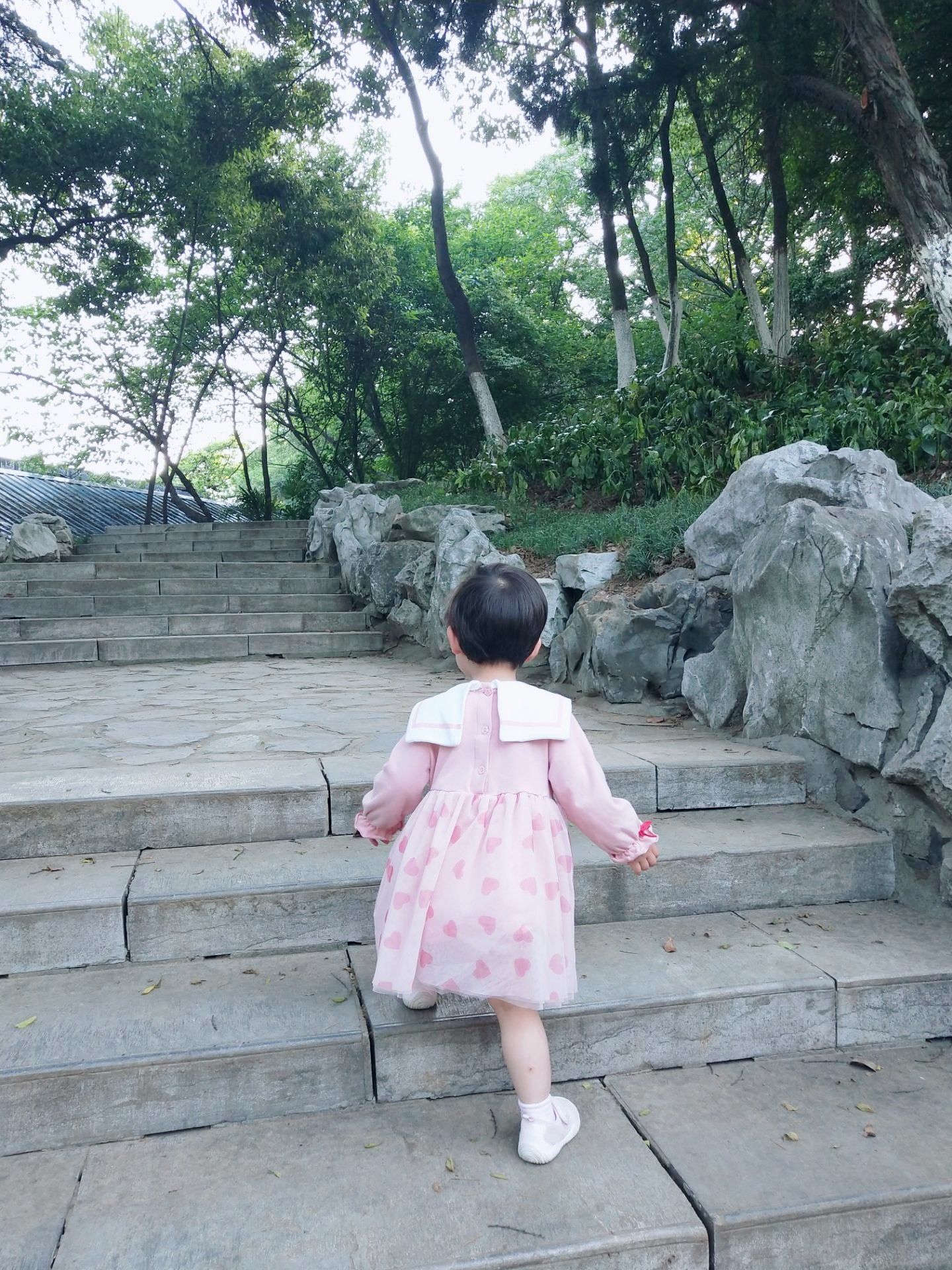 太子山公園旅遊攻略指南 太子山公園評價 太子山公園附近推薦 Trip Com 太子山公園旅遊攻略指南 太子山公園評價 太子山公園附近推薦 Trip Com