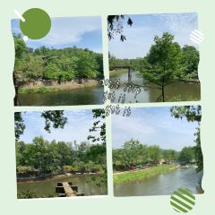 JIN CEN YUAN NONG ZHUANG User Photo