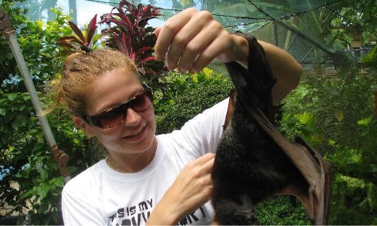 Boracay Butterfly Garden