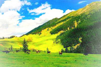 Helanshan National Shouliechang