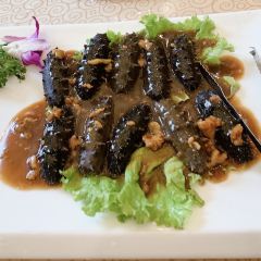 XINGHAIYUGANG User Photo