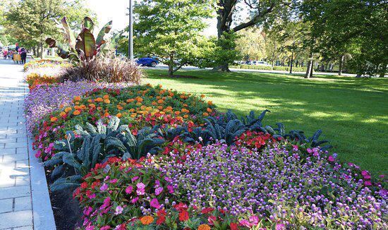 Le Jardin des Plantes