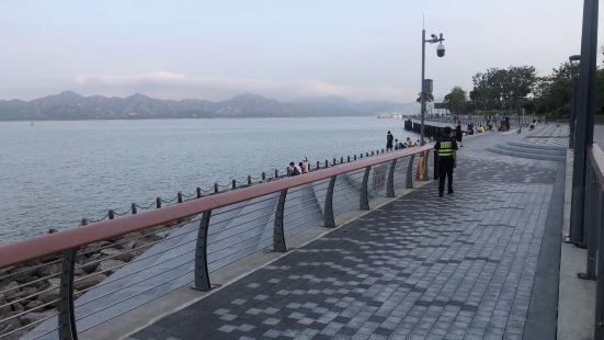 深圳湾公园周末，大桥很清晰，可惜疫情期间没啥车。Rain c