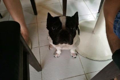 Turtle Bay x Sea Harmony Eco Cafe