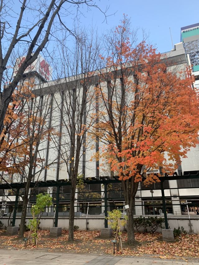 오도리 공원
