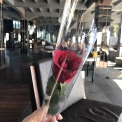 Unique Rooftop Bar & Restaurant User Photo