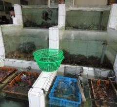 鴨角活海產 User Photo