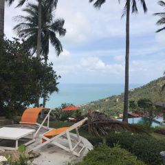 The Jungle Club Restaurant ảnh của người dùng