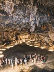Cango Caves Zipline & Estate