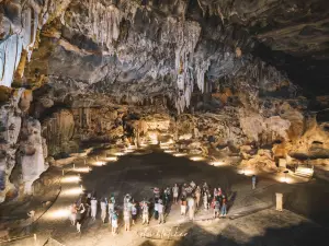 Cango Caves Zipline & Estate
