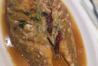 SPRING DEER User Photo