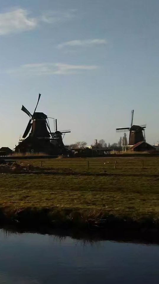 Het Jonge Schaap