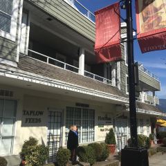 Deep Cove Pizza 여행 사진