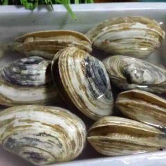 XIAO LAO JU User Photo
