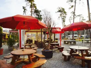 Camping Sedunum