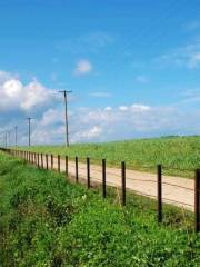 Longzipu Grassland