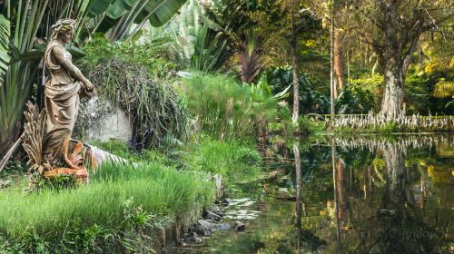 Botanical Garden of Rio de Janeiro