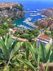 Exotic Garden of Monaco and Observatory Cave