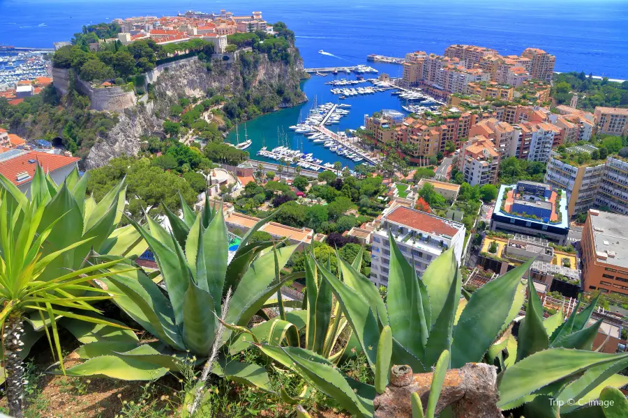Exotischer Garten von Monaco