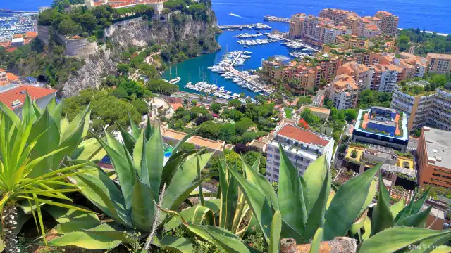 Hotels near Exotic Garden of Monaco and Observatory Cave