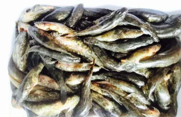 鄉下土菜酒樓
