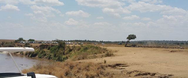 Mara River