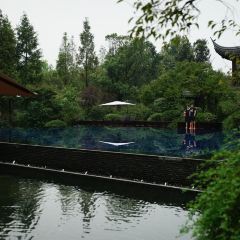 JIN SHA User Photo