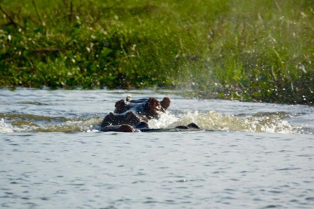 Lake Naivasha