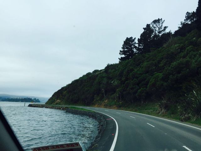 Otago Peninsula