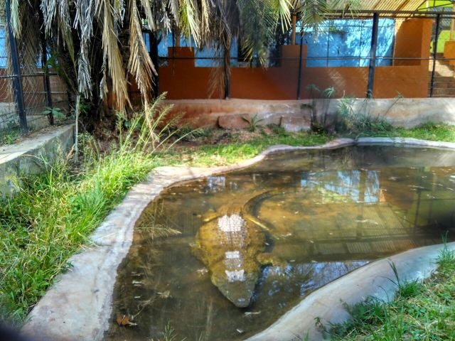 Snake Park