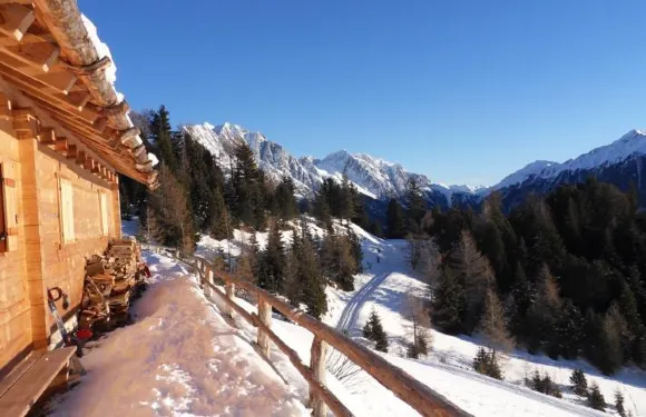 維澤曼畢奧霍夫農家樂