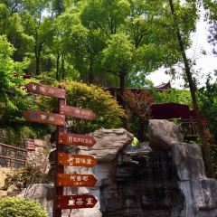 巴倒燙重慶陸派火鍋（南山總店）張用戶圖片