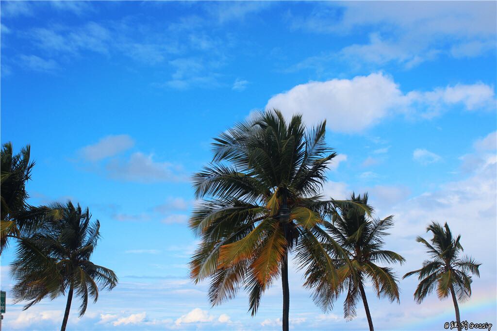 It's hard to forget that I was flying from New York, where there was some chill, to the surprise of being surrounded by a heat wave when San Juan was just off the plane. Even in some parts of the world, even in the snow, the Caribbean is still like the spring season. 
 One day in Puerto Rico, I can change my flight style (in fact, I was very tired when I played too high a few days ago). I didnt arrange any itinerary, it was only close to where I lived. Condado Beach (Condado Beach), blowing the sea breeze from the Caribbean, basking in the warm sun, listening to his favorite music that he brought to the iPod, reading a book that he has been dragging for a long time before he can taste it. Book, spend a whole day leisurely. 
 Occasionally look up, in addition to the blue sky and blue sky, there are also the men and women who come and go. If you dont hurry and dont worry, its the real holiday style.