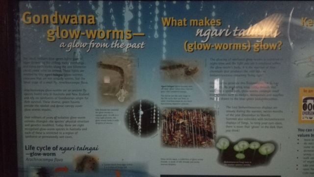 Glow Worm Tour