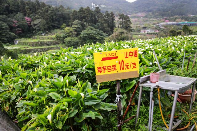 陽明山國家公園