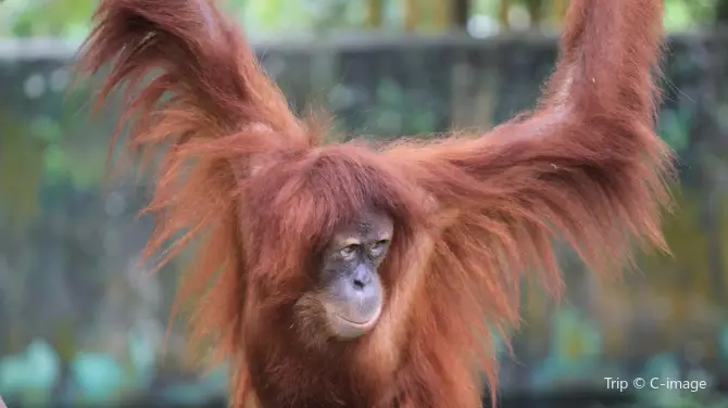 3_馬來西亞國家動物園