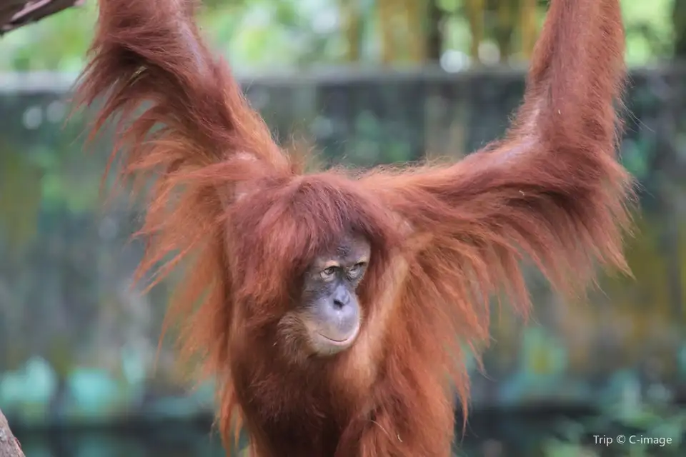 3_Zoo Negara Malaysia