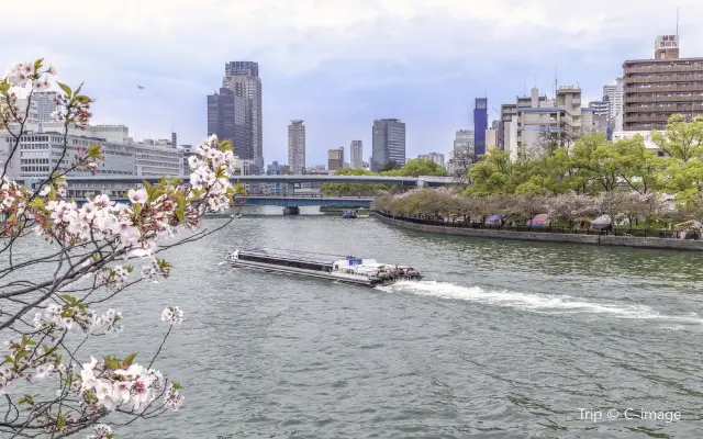 Sightseeing Cruise in Osaka