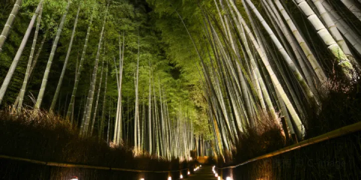 嵐山 竹林小徑