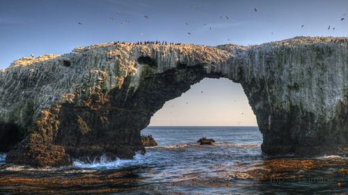 Channel Islands National Park