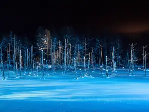 美瑛の人気夜の観光スポット