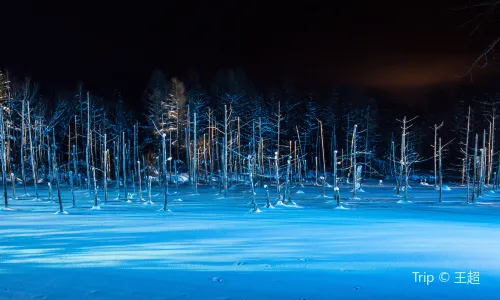 Shirogane Blue Pond (Aoiike)