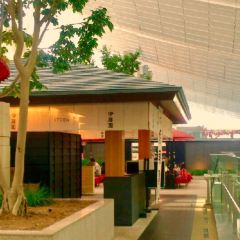 Saryo Itoen User Photo
