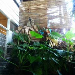 Natural Restaurant User Photo