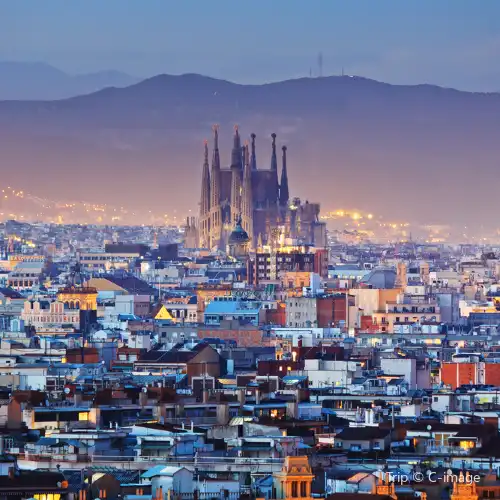 Top 50 Best Things to Do in Barcelona