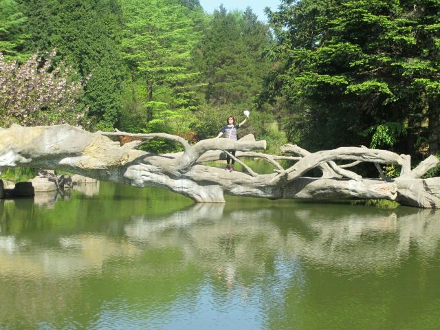 Yangtian Lake Scenic Area